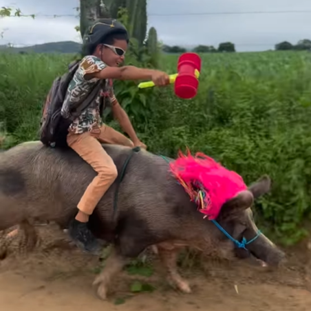 Brazilian Boy Rides Pig to School, Incredible 1-Minute Video Surfaces