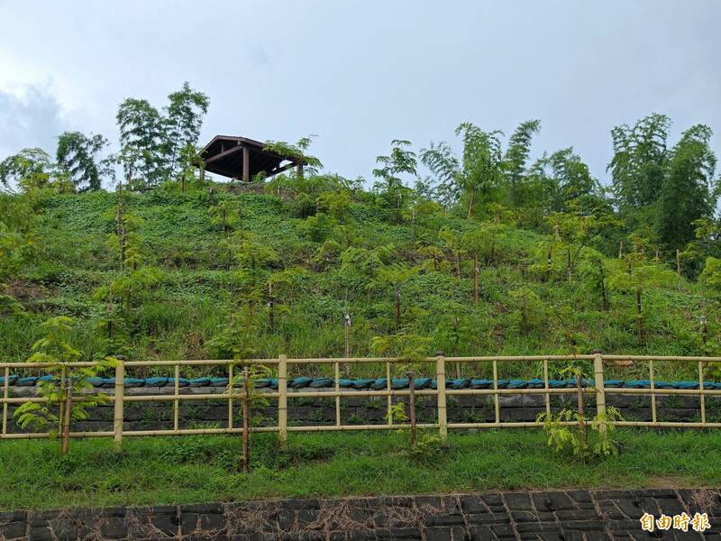 Tainan's Zuozhen Leisure Park Nears Completion with 947 Thai Cherry Trees Planted